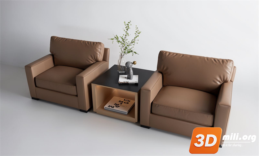 Armchair Skp Files